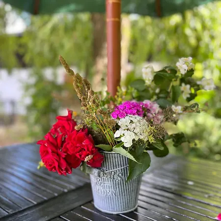 „u Rzezbiarza” * Sławno