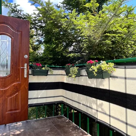 „u Rzezbiarza” Agroturismo *