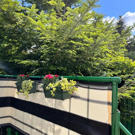 „u Rzezbiarza” *