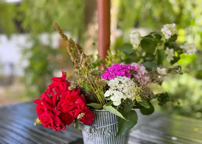 „u Rzezbiarza” * Slawno (Slawno)