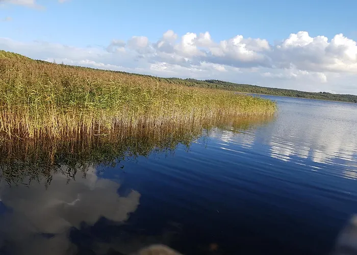 Фермерский дом „u Rzezbiarza”