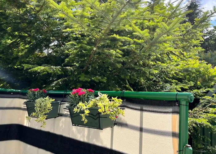 „u Rzezbiarza” *